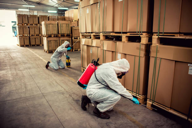 Best Pest Removal Services  in Homer, MI