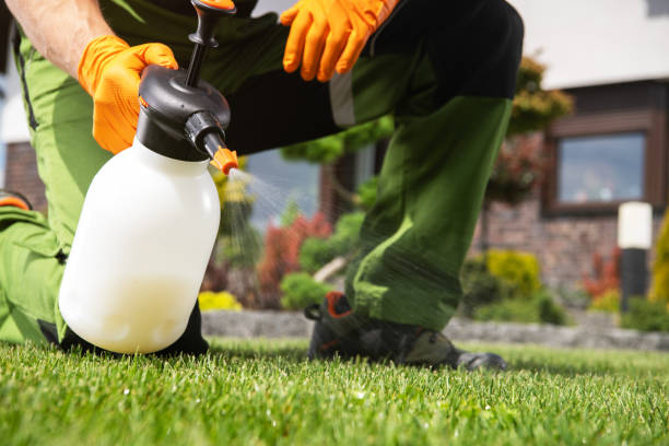 Best Bird Control  in Homer, MI