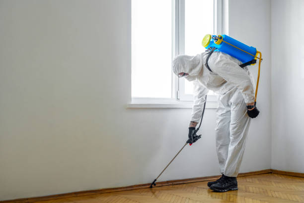 Best Affordable Pest Control Services  in Homer, MI