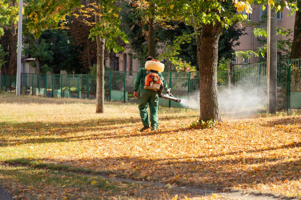 Best Exterminator Services  in Homer, MI