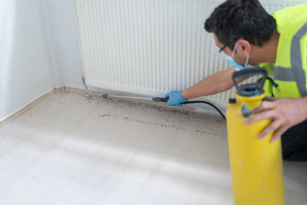 Best Local Pest Control Services  in Homer, MI